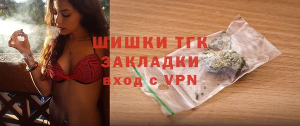 гидра Богородицк