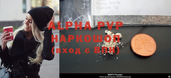 гидра Богородицк
