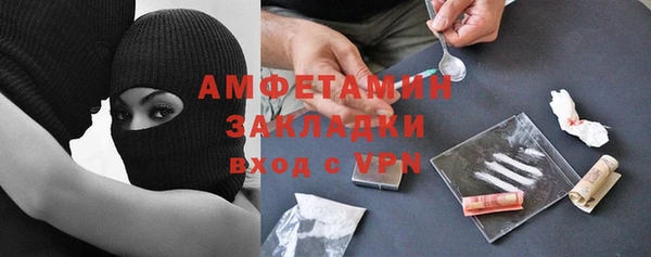 гидра Богородицк