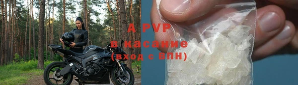 гидра Богородицк