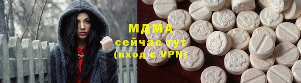 гидра Богородицк