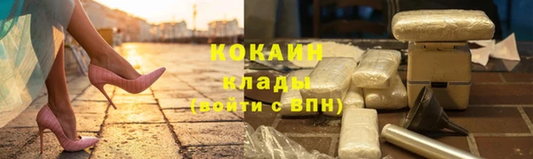 СК Богородск