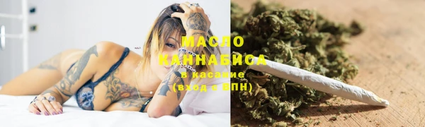 гидра Богородицк