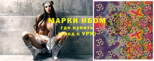 твердый Богданович