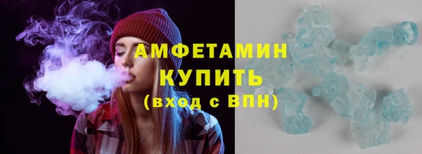 гидра Богородицк