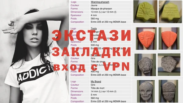 гидра Богородицк