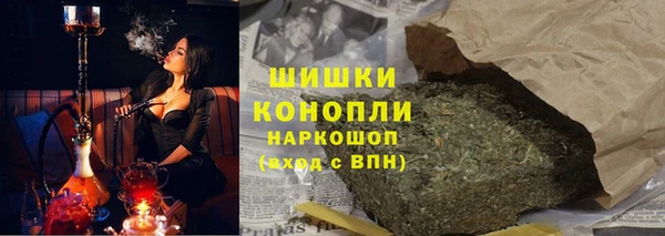 гидра Богородицк